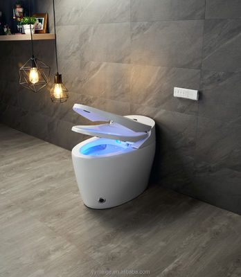 Edificio per uffici Luxury Lower Cistern Eco Smart Automatic Intelligent Toilet con temperatura regolabile e caratteristiche tecnologiche