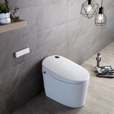 Vivi il massimo comfort con il design moderno Eco Smart Automatic Intelligent Toilet Sedile riscaldato e asciugatrice ad aria calda