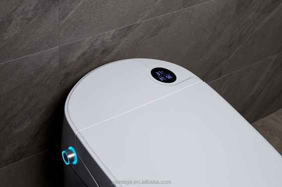 Vivi il massimo comfort con il design moderno Eco Smart Automatic Intelligent Toilet Sedile riscaldato e asciugatrice ad aria calda