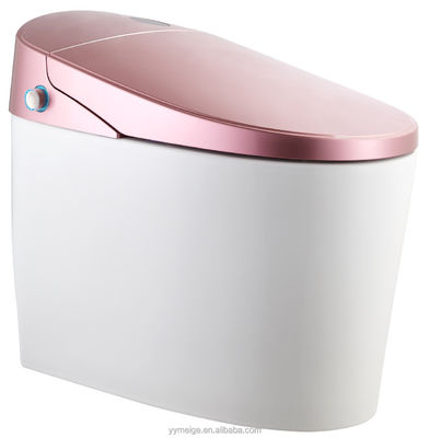 Vivi il massimo comfort con il design moderno Eco Smart Automatic Intelligent Toilet Sedile riscaldato e asciugatrice ad aria calda
