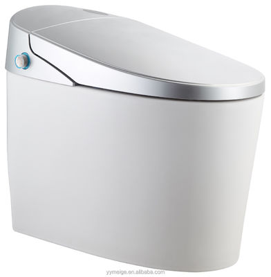 Vivi il massimo comfort con il design moderno Eco Smart Automatic Intelligent Toilet Sedile riscaldato e asciugatrice ad aria calda