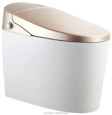 Vivi il massimo comfort con il design moderno Eco Smart Automatic Intelligent Toilet Sedile riscaldato e asciugatrice ad aria calda