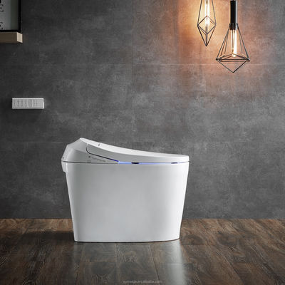 Bagno unico con scarico automatico Acqua calda e secca Modalità posteriore Eco Smart Bagno automatico intelligente Bagno tutto in uno OEM