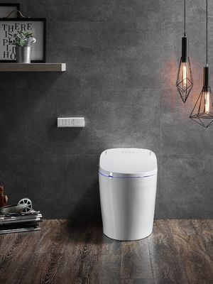 Bagno unico con scarico automatico Acqua calda e secca Modalità posteriore Eco Smart Bagno automatico intelligente Bagno tutto in uno OEM