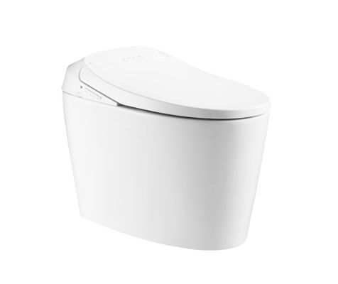 Bagno unico con scarico automatico Acqua calda e secca Modalità posteriore Eco Smart Bagno automatico intelligente Bagno tutto in uno OEM