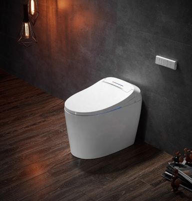 Funzione avanzata Deodorazione automatica Bagno integrato Multifunzione lusso con S-trap drenaggio e telecomando