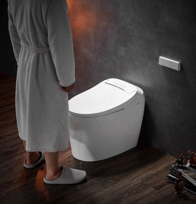 Funzione avanzata Deodorazione automatica Bagno integrato Multifunzione lusso con S-trap drenaggio e telecomando