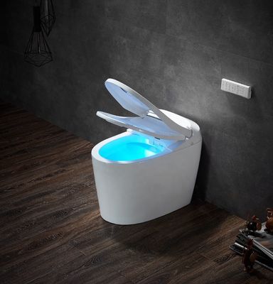 Funzione avanzata Deodorazione automatica Bagno integrato Multifunzione lusso con S-trap drenaggio e telecomando