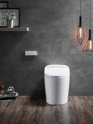 Funzione avanzata Deodorazione automatica Bagno integrato Multifunzione lusso con S-trap drenaggio e telecomando