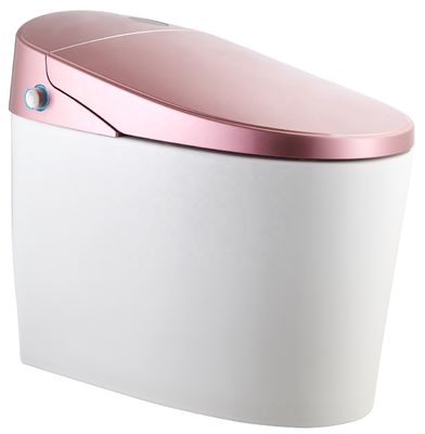 Aggiornare a un moderno design Eco Smart Automatico Intelligente Bagno 4.8L Flushing Flow Rate Facile installazione fai da te