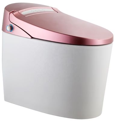 Trasforma il tuo bagno di ufficio con un bagno automatico intelligente montato sul pavimento e un bagno di lusso multifunzione
