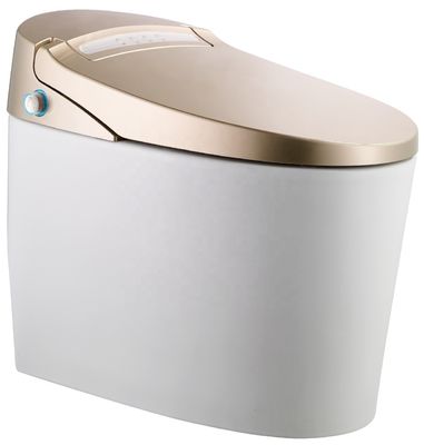 Trasforma il tuo bagno di ufficio con un bagno automatico intelligente montato sul pavimento e un bagno di lusso multifunzione