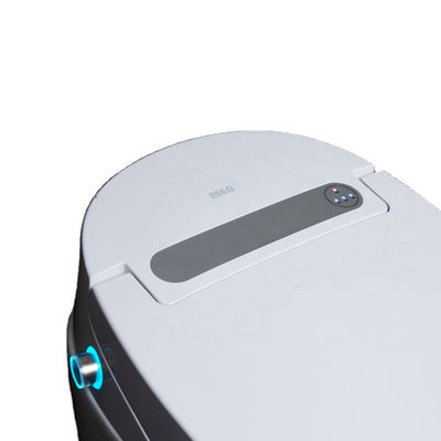 Struttura in un pezzo Bagno Bidet riscaldato con lusso multifunzione integrato e design automatico intelligente