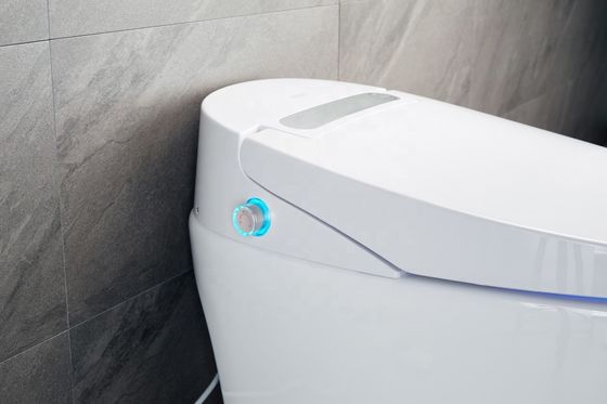 Struttura in un pezzo Bagno Bidet riscaldato con lusso multifunzione integrato e design automatico intelligente