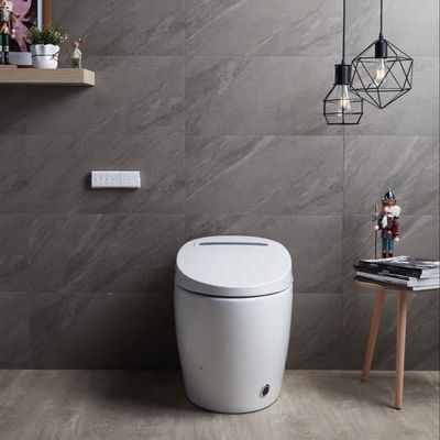 Struttura in un pezzo Bagno Bidet riscaldato con lusso multifunzione integrato e design automatico intelligente